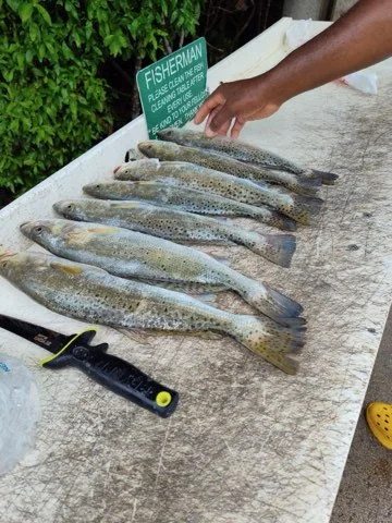 Fishing in Naples, Florida