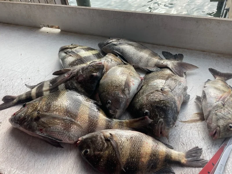 Fishing in Port O'Connor, Texas