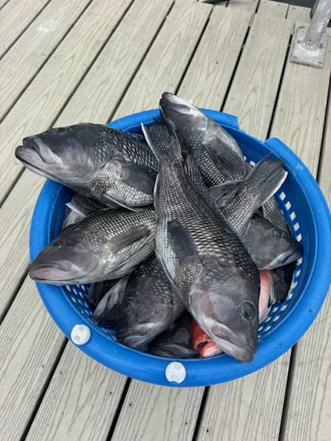 Fishing in Jacksonville, Florida