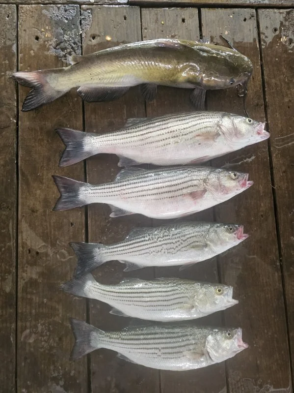 Fishing in Kingston, Oklahoma