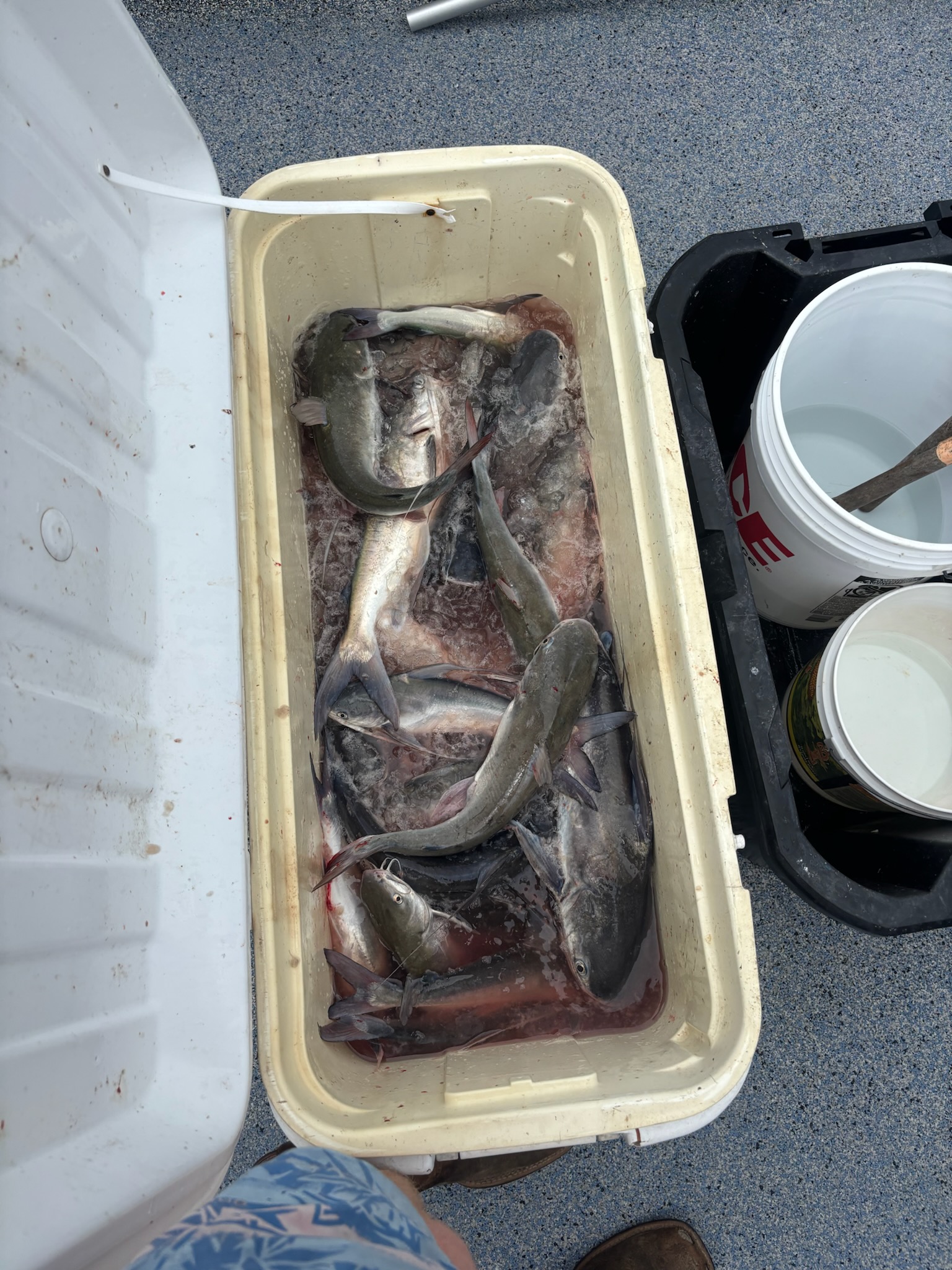 Fishing in Orange Beach, Alabama