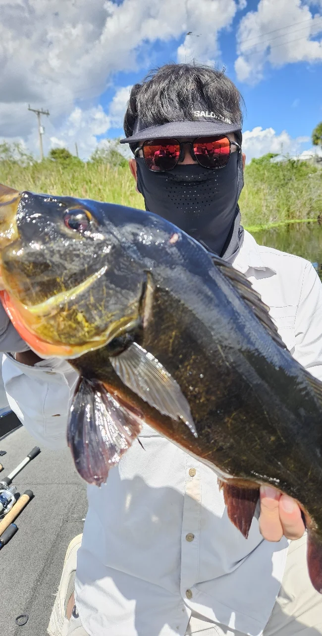 Fishing in Deerfield Beach, Florida