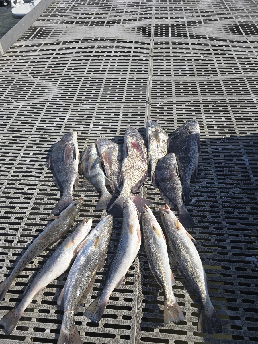 Fishing in Houston, Texas
