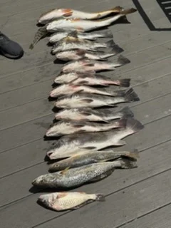 Fishing in Port Isabel, Texas