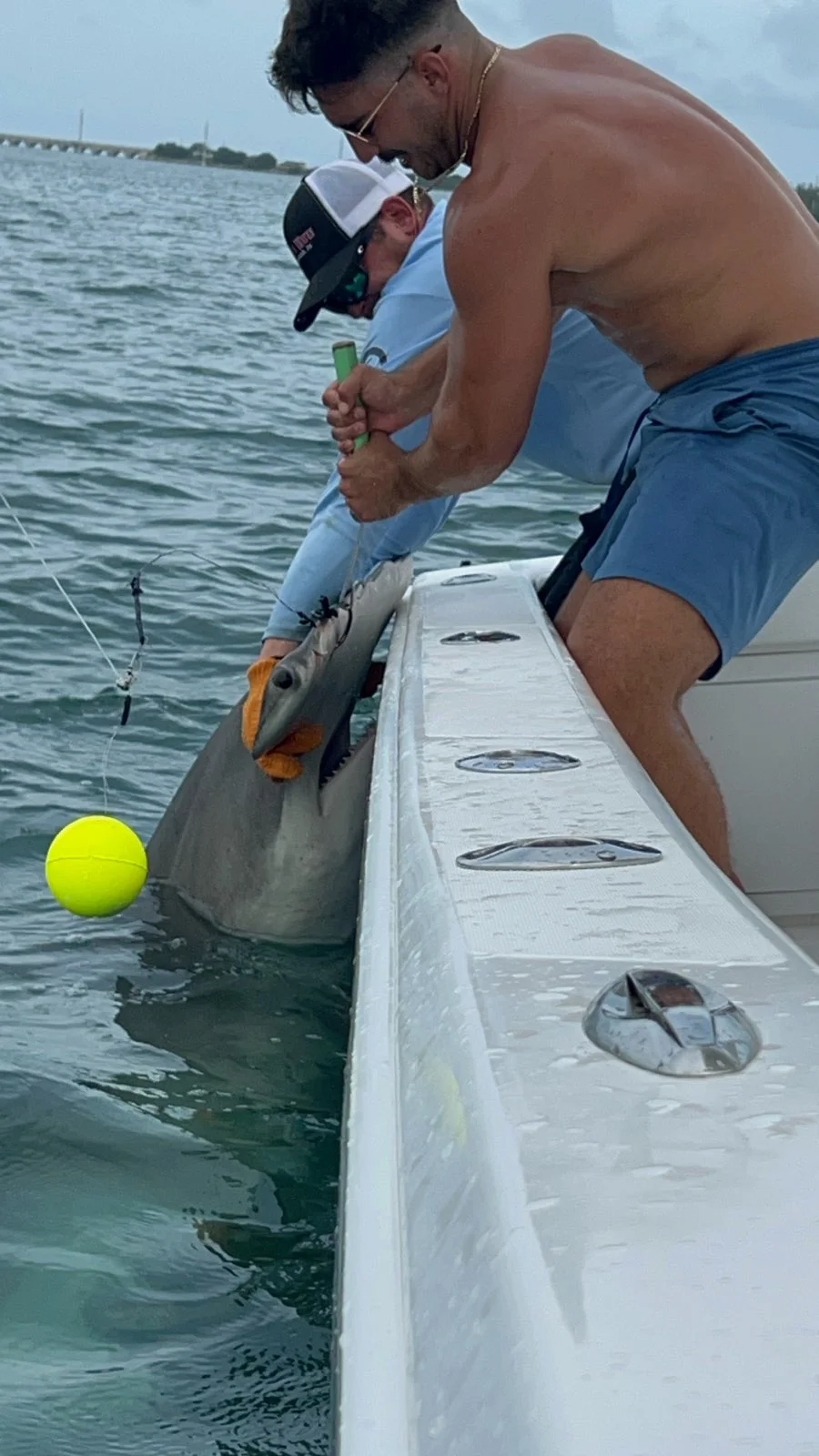 Blue Marlin Fishing in Miami, Florida