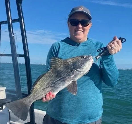 Triggerfish Fishing in Sarasota, Florida