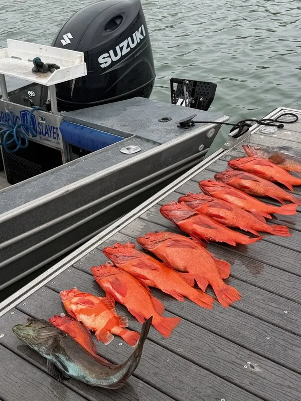 Fishing in Ventura, California