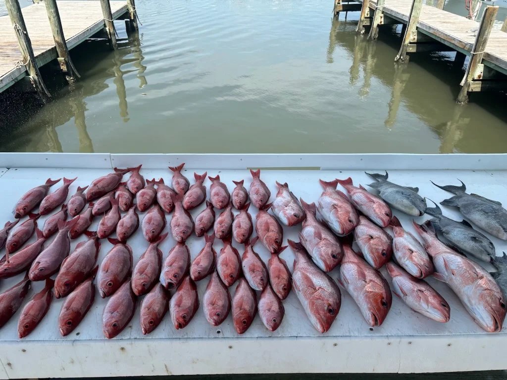 Fishing in Foley, Alabama