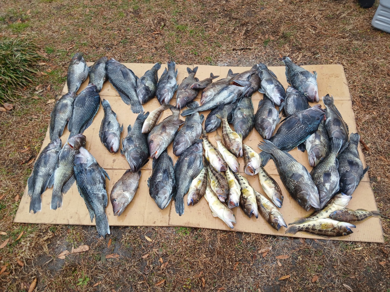 Fishing in Wrightsville Beach, North Carolina