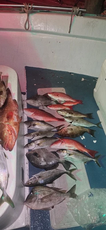 Fishing in Panama City, Florida