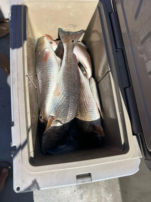 Fishing in Rockport, Texas
