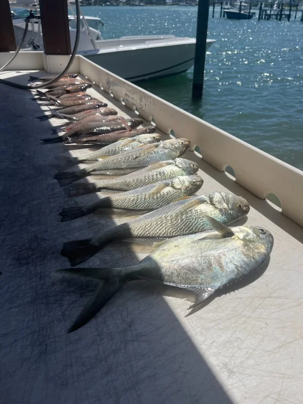 Fishing in Jupiter, Florida
