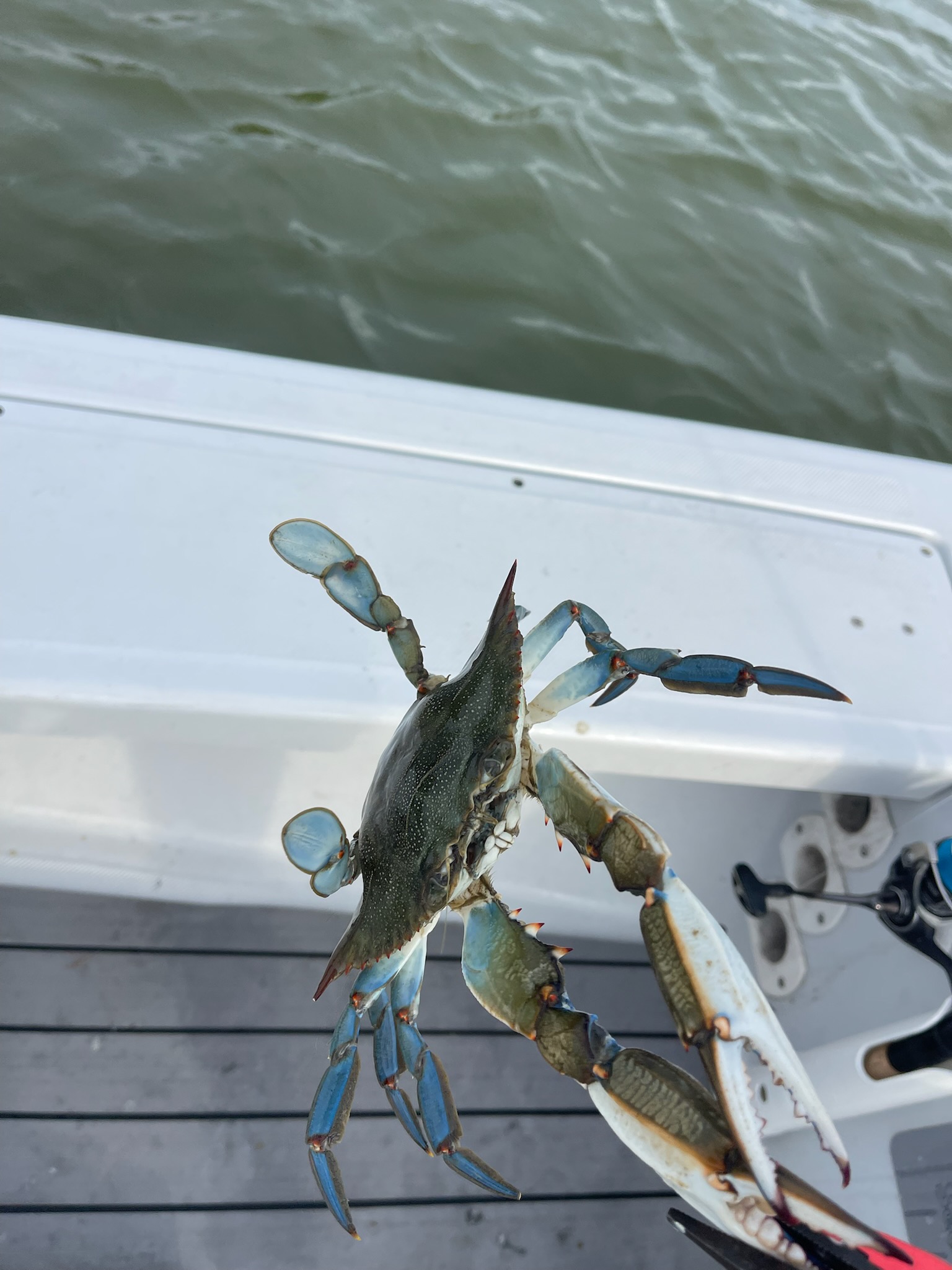 Fishing in Panama City, Florida