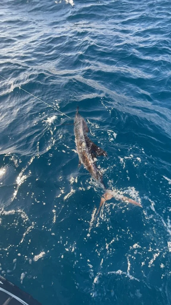 Fishing in Key Largo, Florida