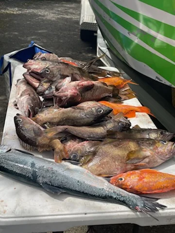 Fishing in Garibaldi, Oregon
