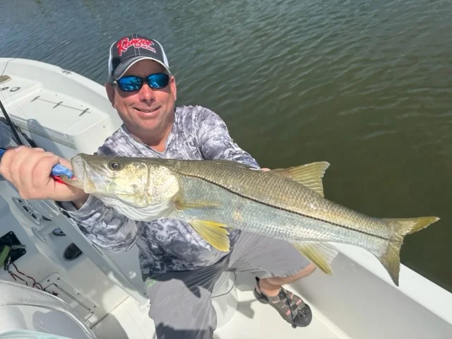Snook Fishing in St. Petersburg, Florida