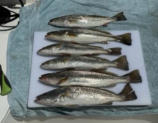 Fishing in St. Petersburg, Florida