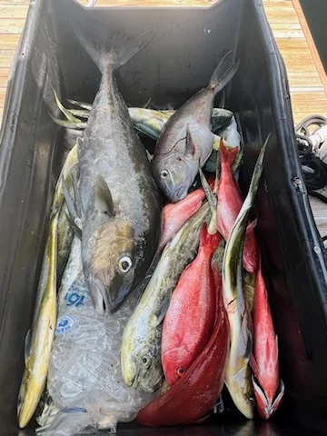 Fishing in Islamorada, Florida