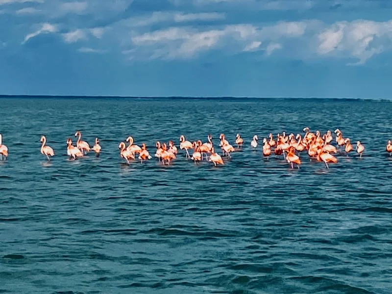 Fishing in Islamorada, Florida