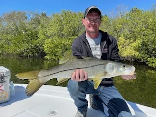 Mangrove Snapper, Sheepshead Fishing in St. Petersburg, Florida