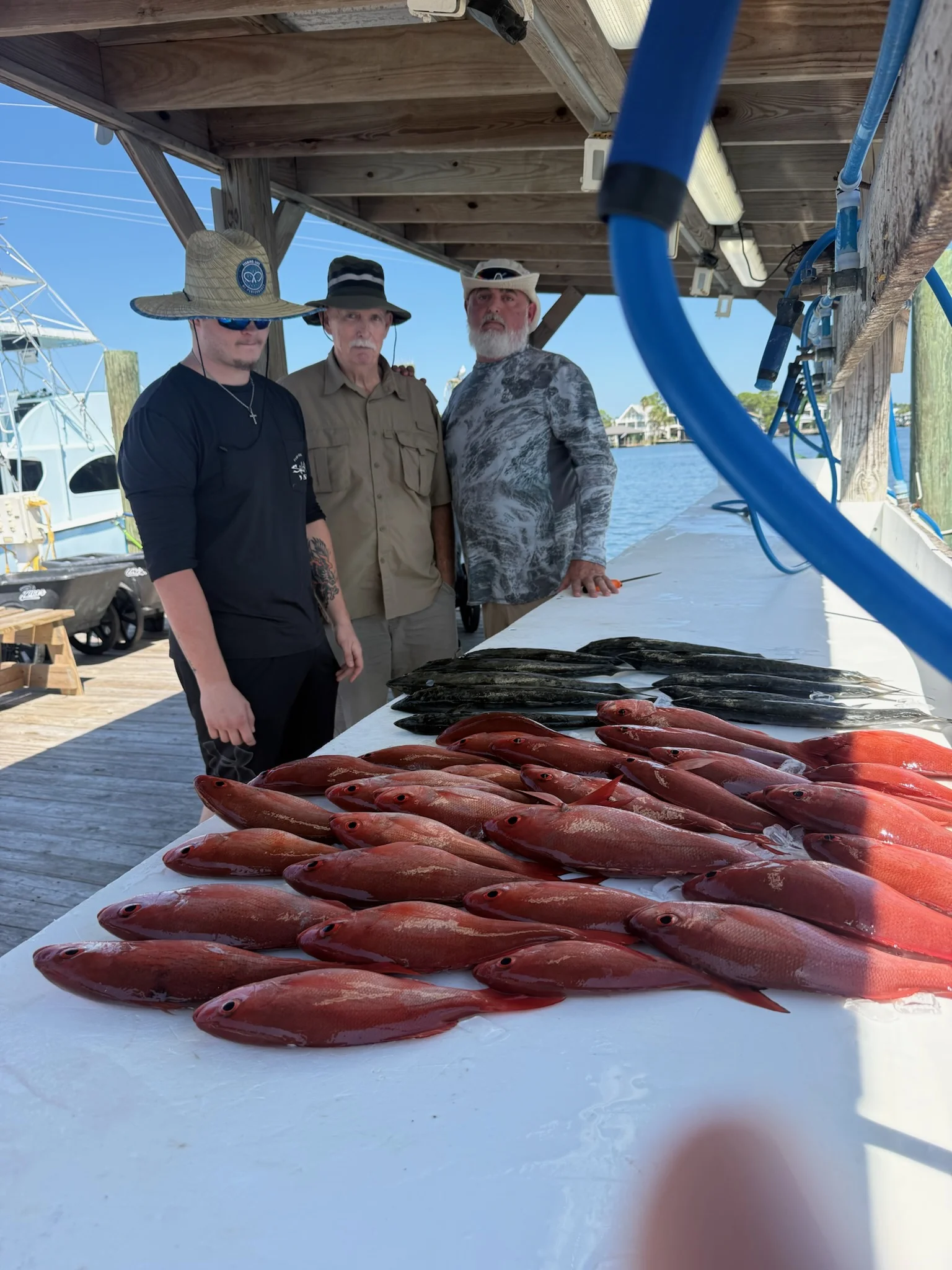 Fishing in Orange Beach, Alabama