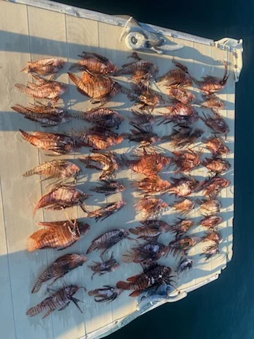 Fishing in Key West, Florida