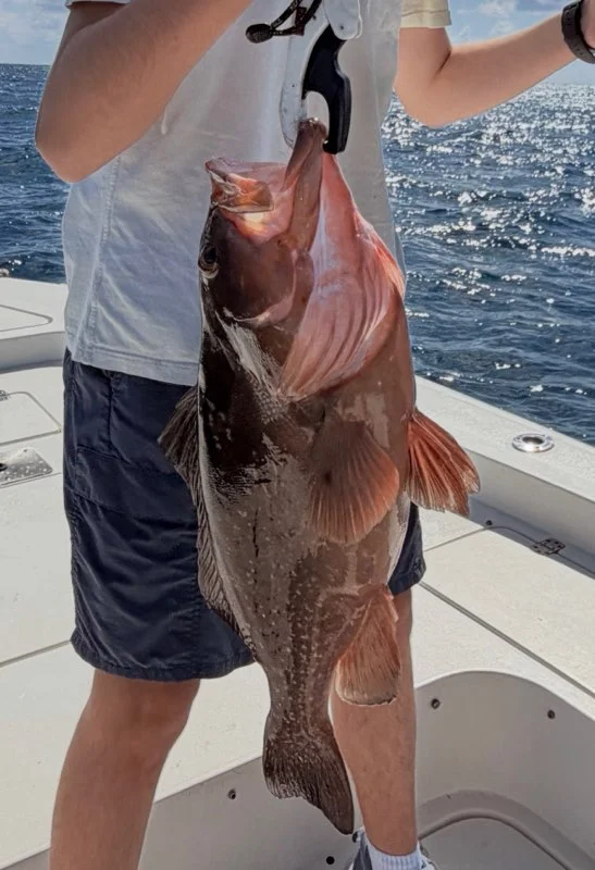 Fishing in Key Largo, Florida