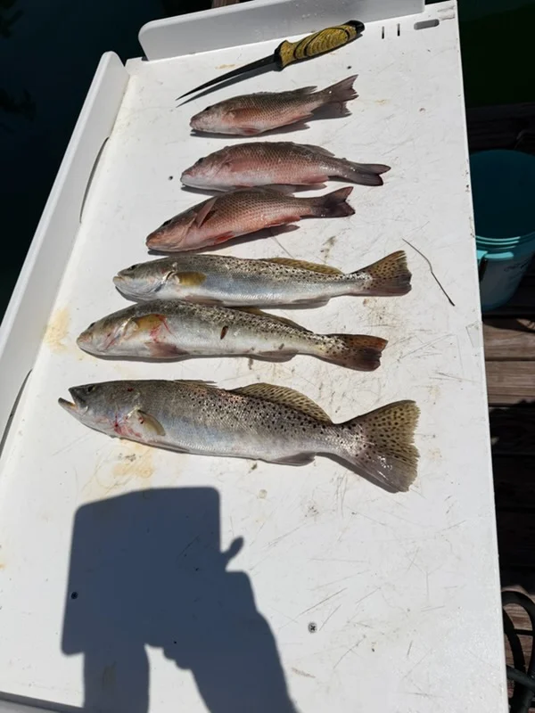 Fishing in Saint James City, Florida