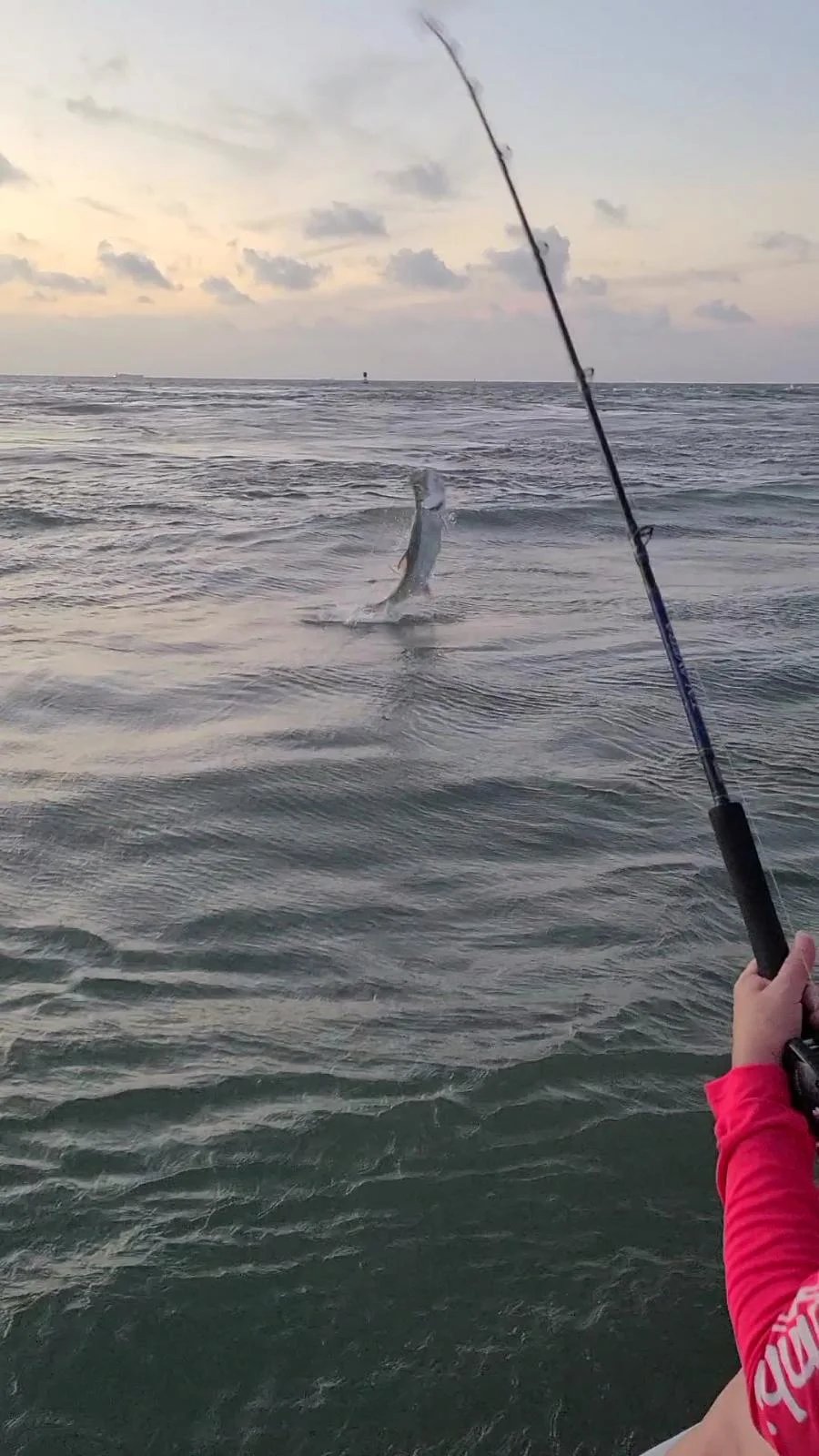 Tarpon fishing in Port O'Connor, Texas