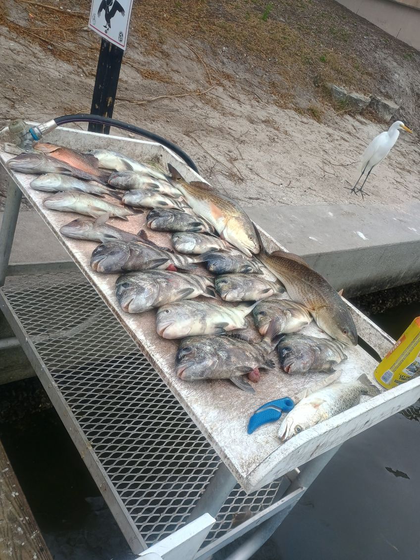 Fishing in Bradenton, Florida