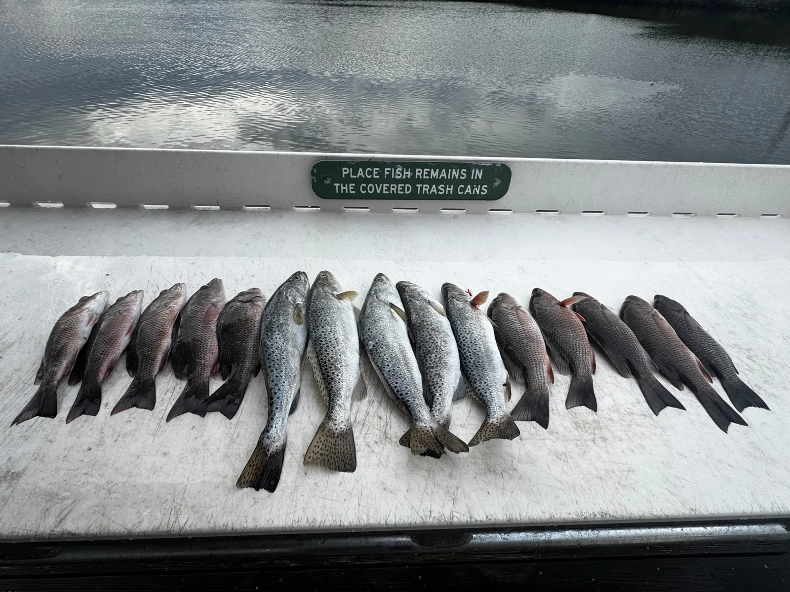Fishing in Key Largo, Florida