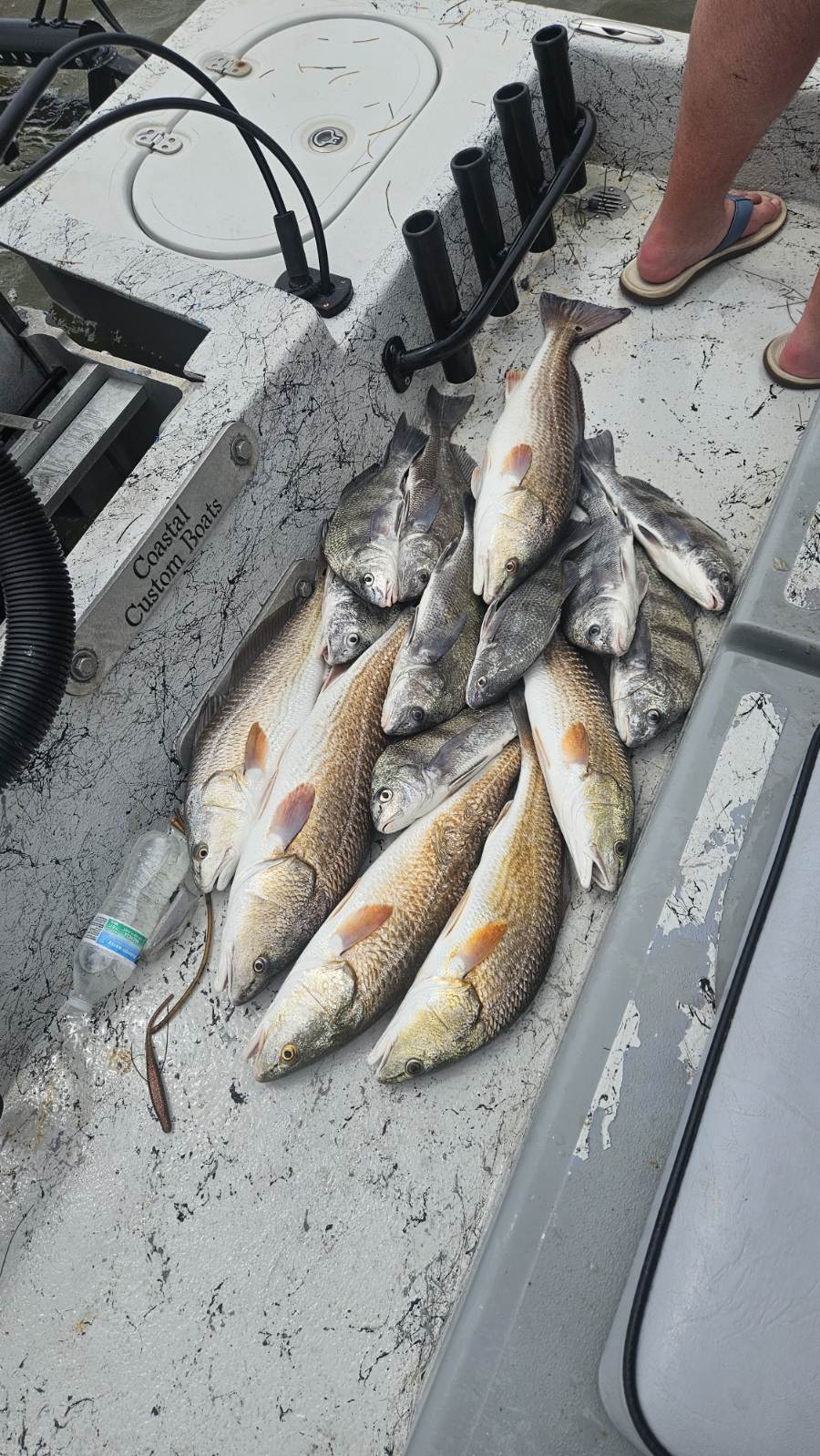 Fishing in Corpus Christi, Texas