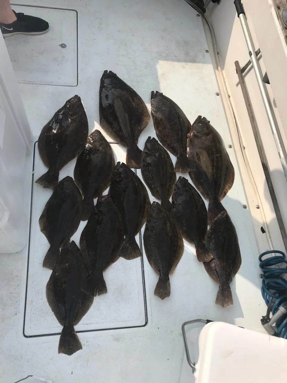 Fishing in Keyport, New Jersey