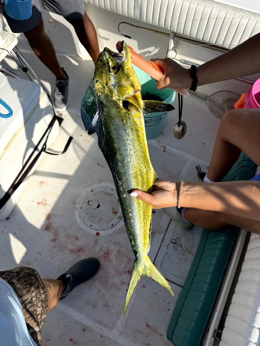 Fishing in Wrightsville Beach, North Carolina