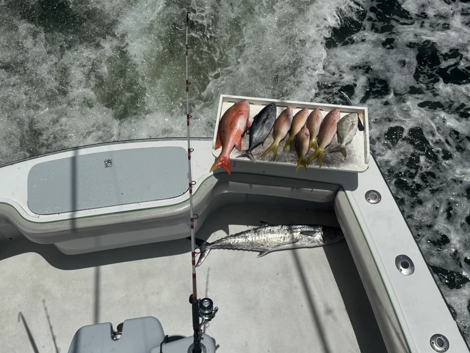 Fishing in Fort Lauderdale, Florida