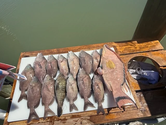 Fishing in St. Petersburg, Florida