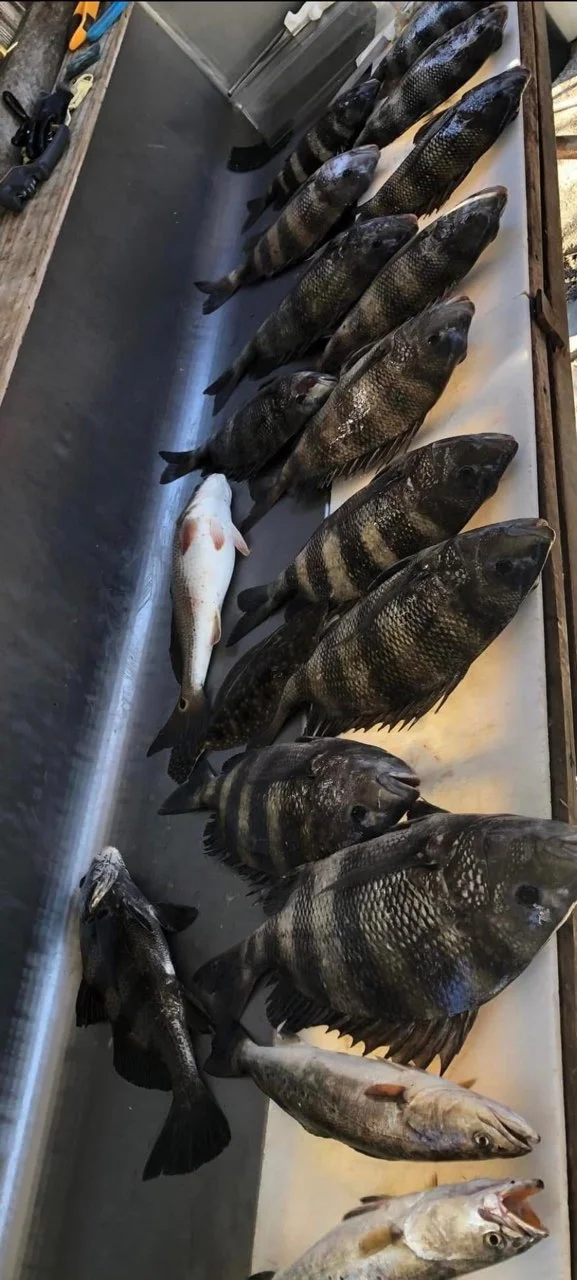 Fishing in D'Iberville, Mississippi