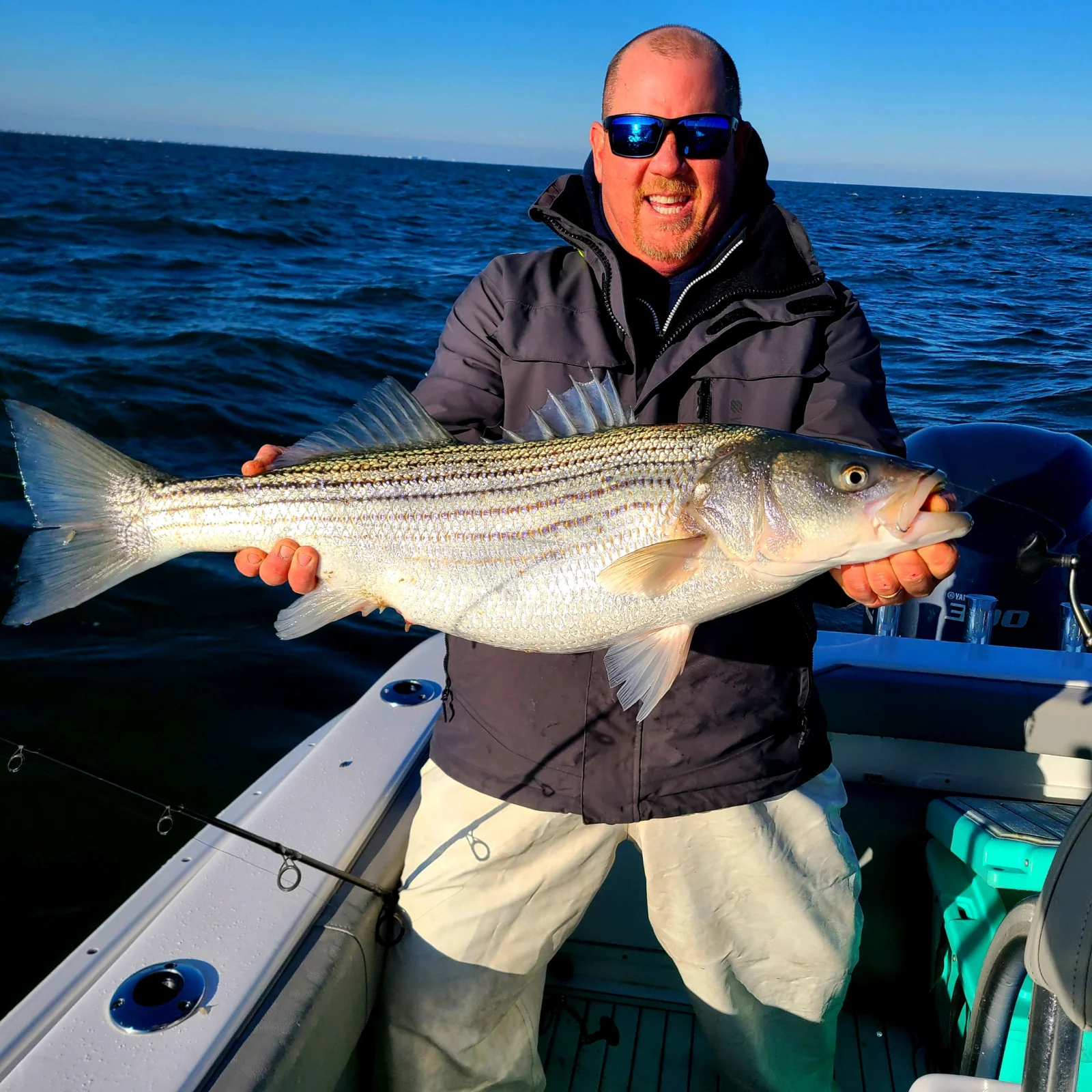 Hybrid Striped Bass Fishing in Stone Harbor, New Jersey
