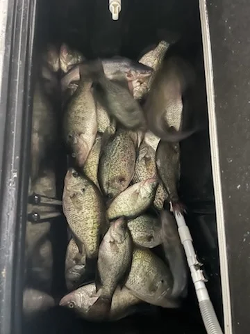 Fishing in Willis, Texas