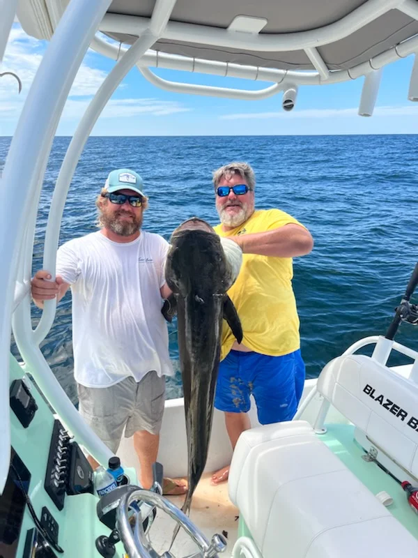 Cobia fishing in Orange Beach, Alabama