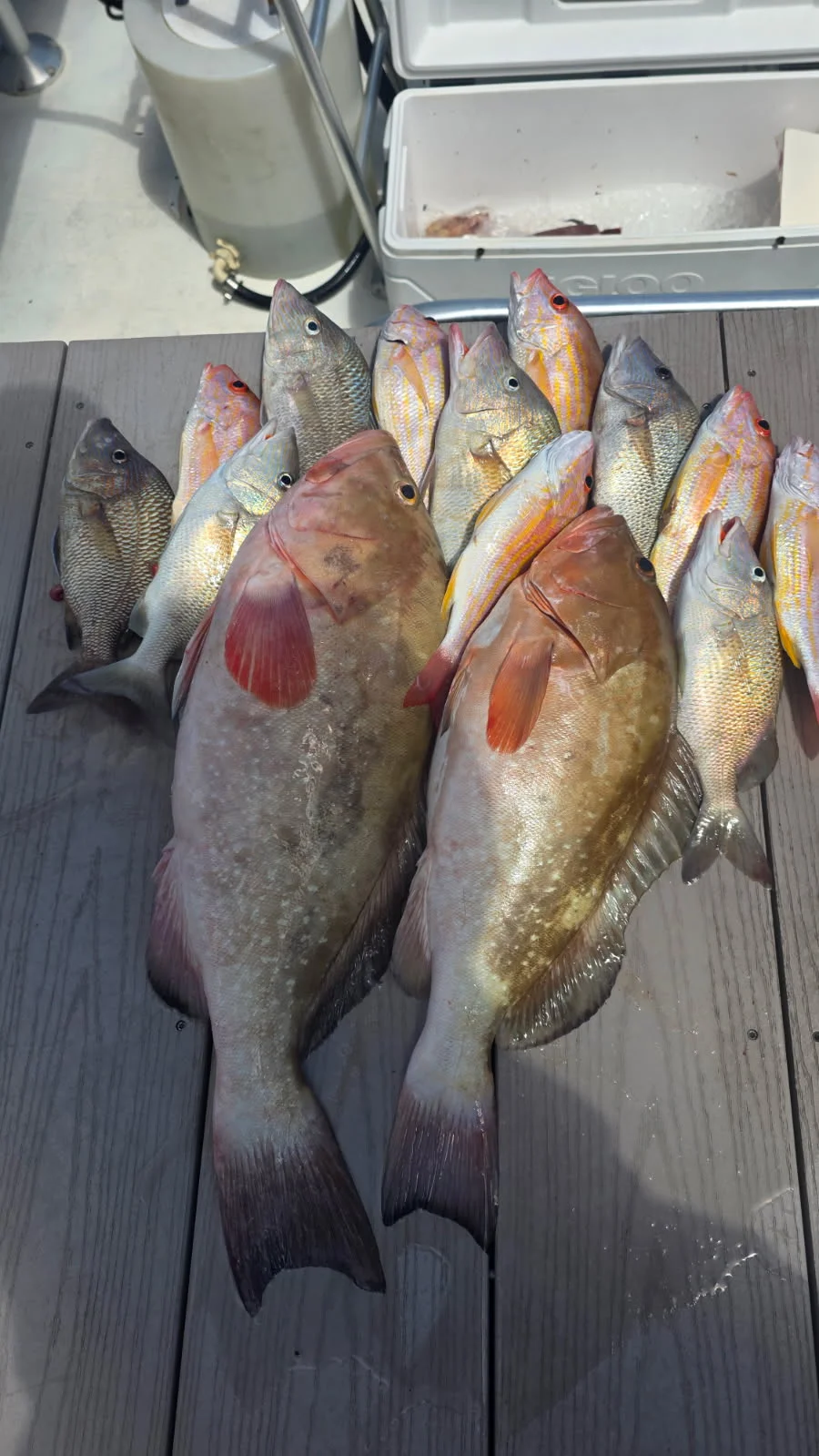 Fishing in Bradenton Beach, Florida