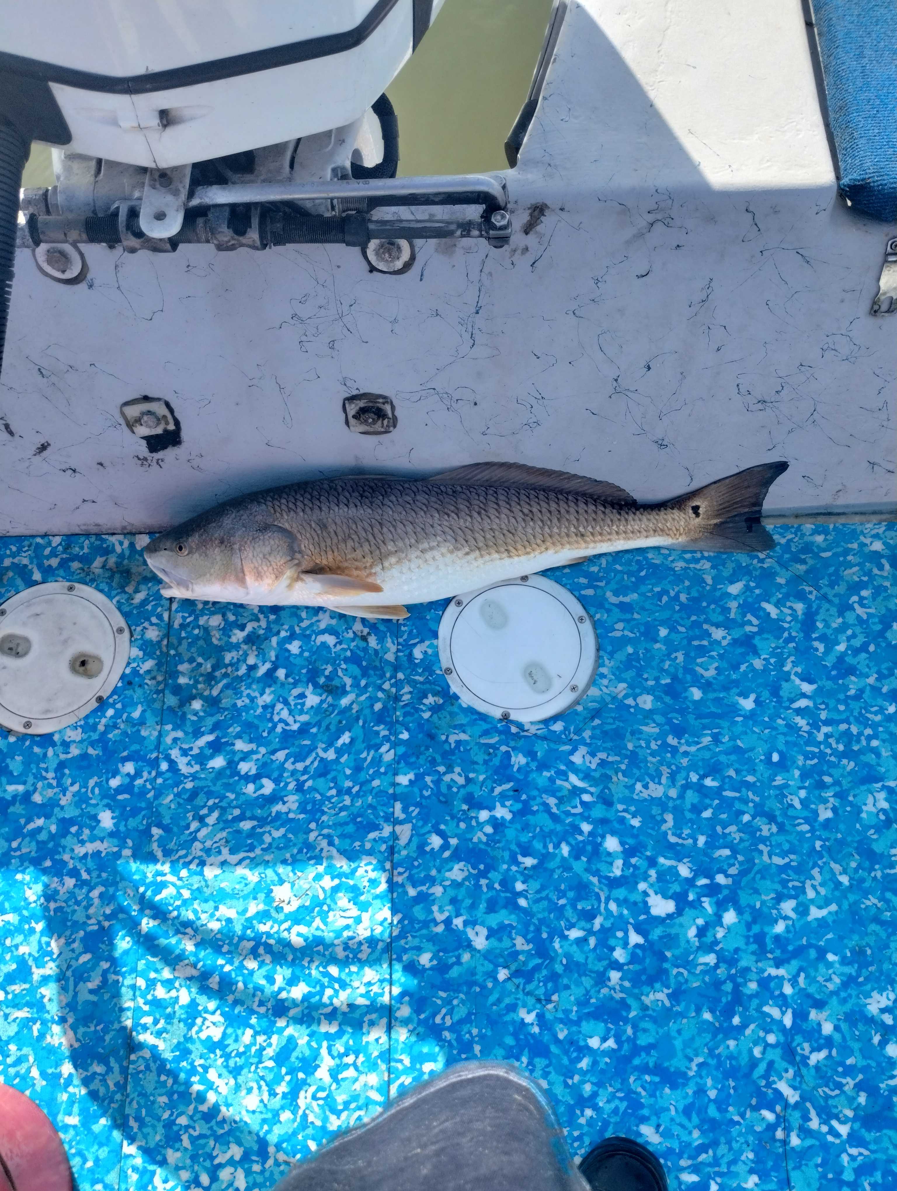 Fishing in Corpus Christi, Texas