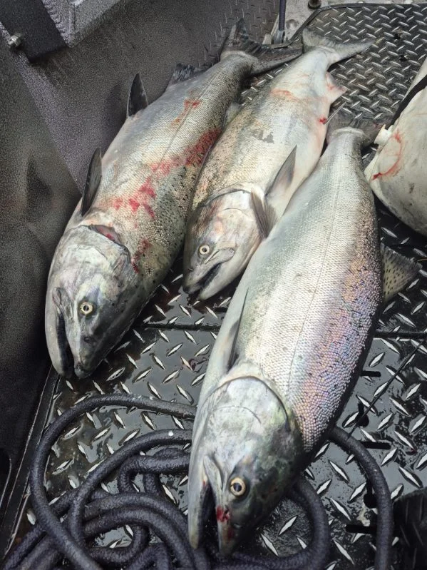 Fishing in Kalama, Washington
