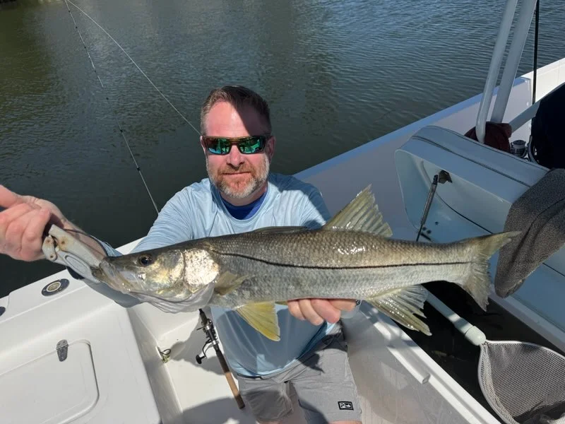 Snook Fishing in St. Petersburg, Florida