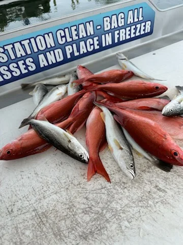 Fishing in Shalimar, Florida