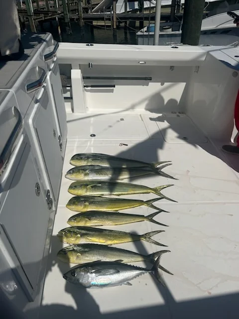 Fishing in Stuart, Florida