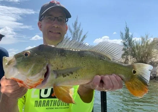 Peacock Bass Fishing in Palmetto Bay, Florida