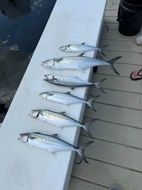Fishing in Panama City Beach, Florida