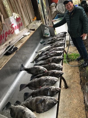 Black Drum, Speckled Trout / Spotted Seatrout Fishing in Biloxi, Mississippi
