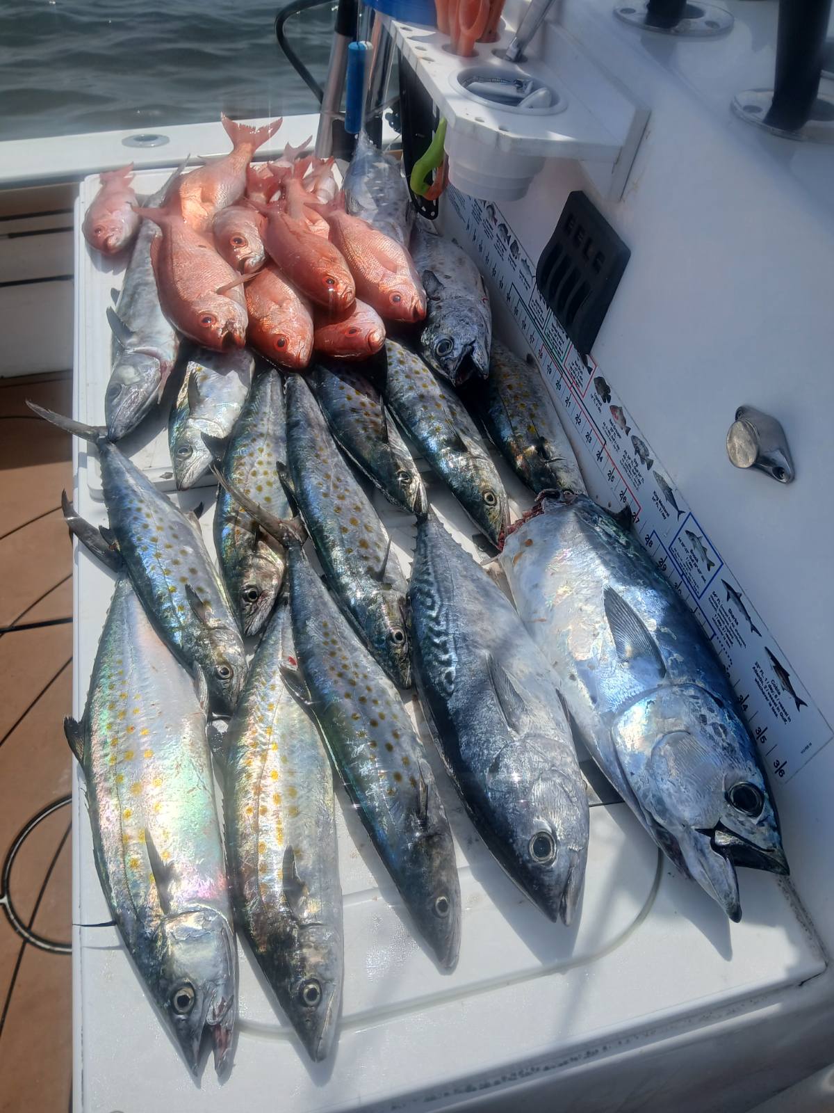 Fishing in Gulf Breeze, Florida